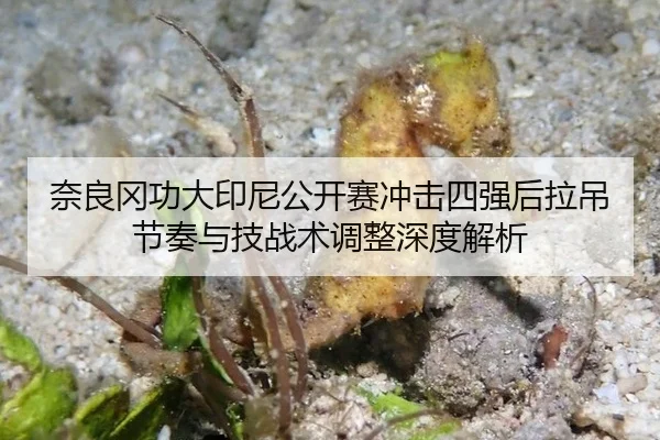 nai-liang-gang-gong-da-yin-ni-gong-kai-sai-chong-ji-si-qiang-hou-la-diao-jie-zou-yu-ji-zhan-shu-tiao-zheng-shen-du-jie-2-563.jpg